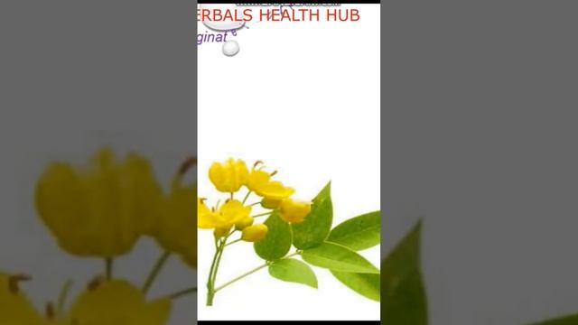 what is coffee senna good for смотреть онлайн