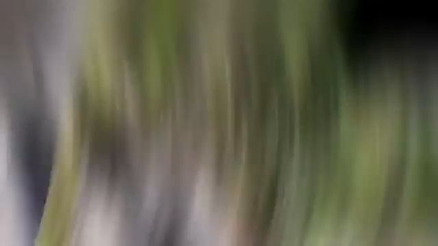 Векамень смотреть онлайн