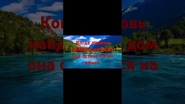 #любовь #цитаты#афоризмы #высказывания #мудростьмысли #психология смотреть онлайн