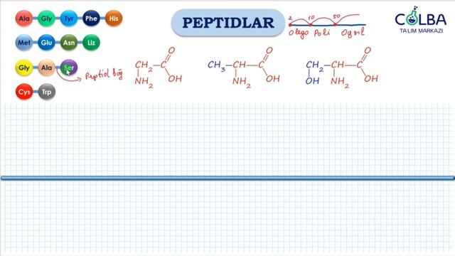 ORGANIK KIMYO. AMINOKISLOTALAR. AZOT ORGANIK BRIKMALAR