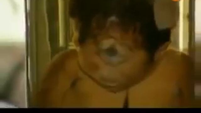 Мутации от главного производителя ГМО   Монсанто