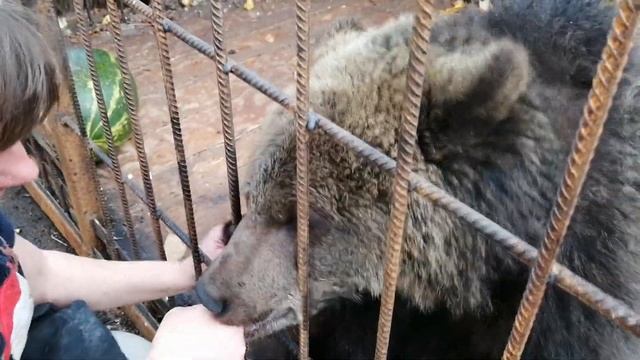 Ария и Наталия смотреть онлайн