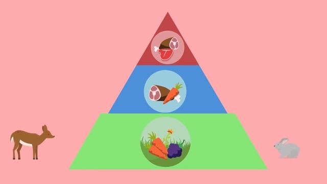 INTERACTIONS WITHIN AN ECOSYSTEM | ENVIRONMENTAL SCIENCE GRADE 7 смотреть онлайн