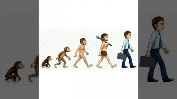 Что такое эволюция