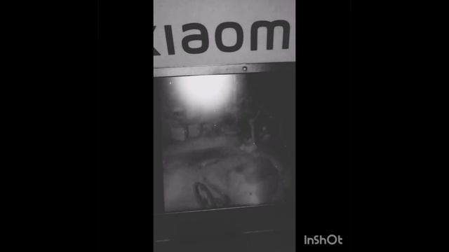историй бати кролика горящия задница переозвучка истории папы кролика смотреть онлайн