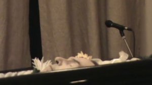 Похороны философа Евгений Головина (3)