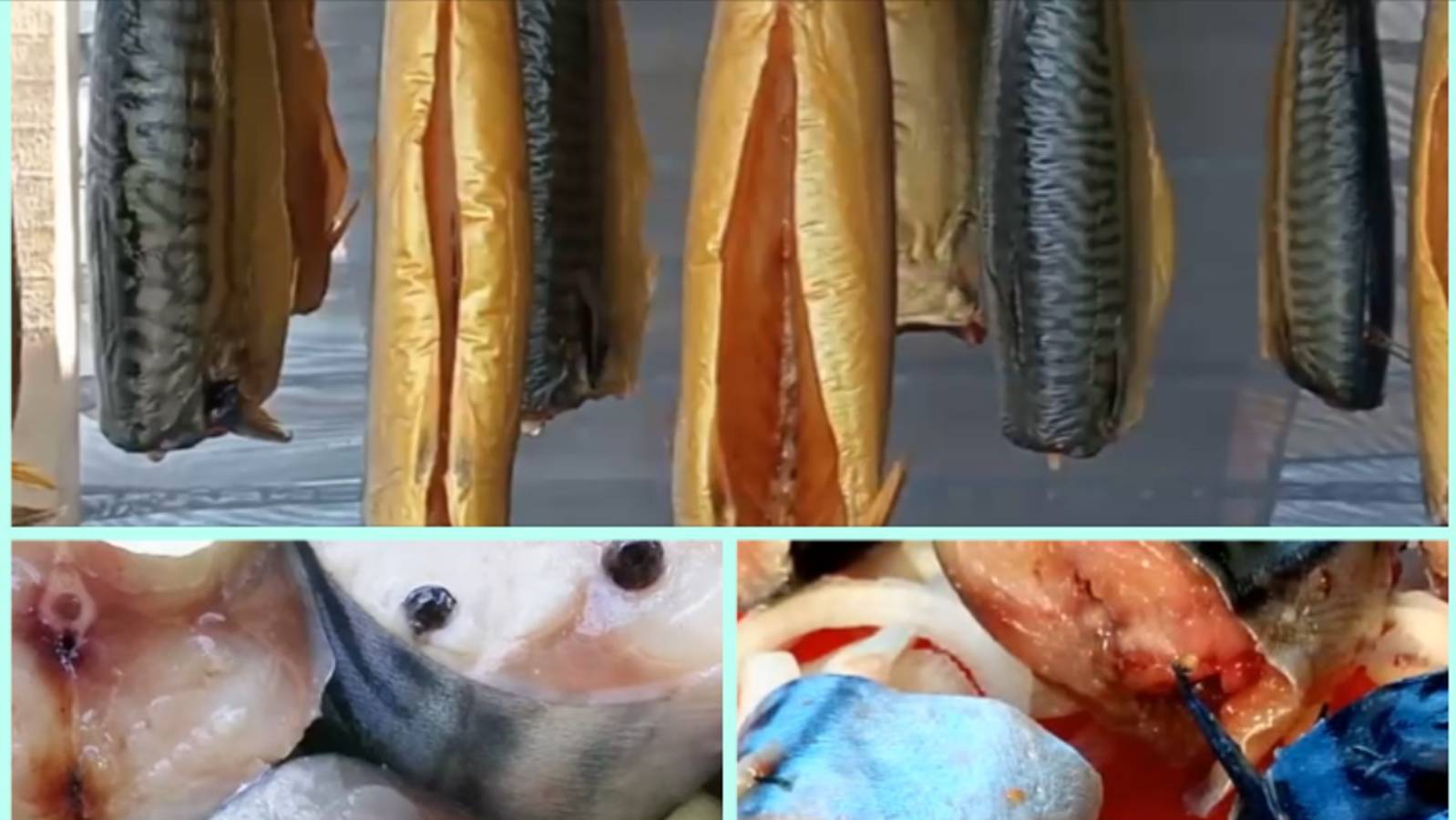 Кулинарные видео-рецепты и многое другое