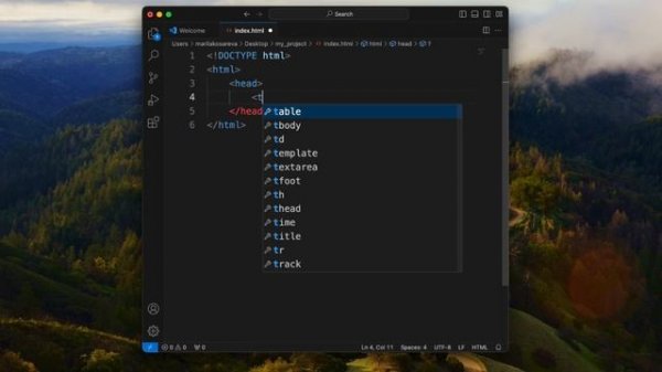 Курс по HTML и CSS: введение в web, браузер, VSCode, HTML страница
