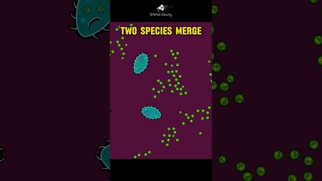 Endosymbiosis Has Been Directly Observed!