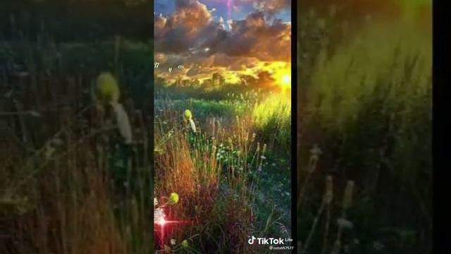 Добрый вечер!👋❤ смотреть онлайн