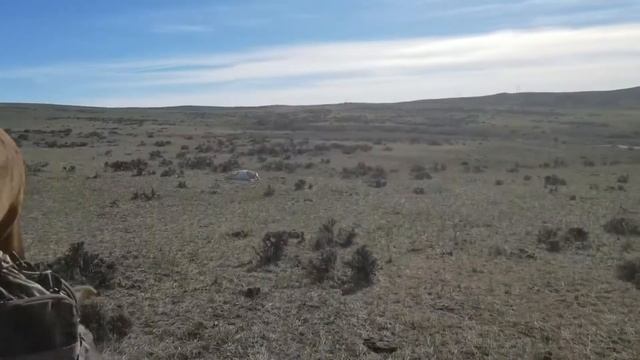 Live Action in the West 2018 PH teaser смотреть онлайн