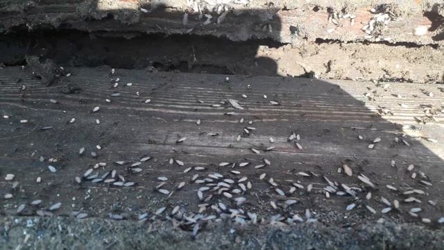 Катострофа смотреть онлайн