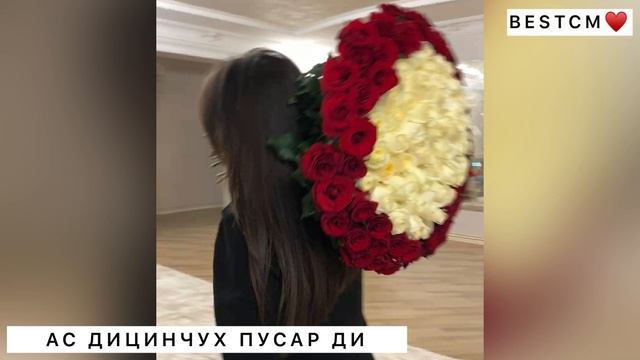 Ас Дицинчух Пусар Ди😍🔥 смотреть онлайн