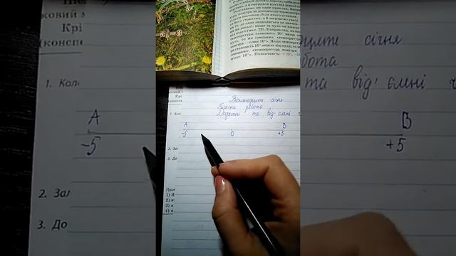Додатні і від'ємні числа. смотреть онлайн