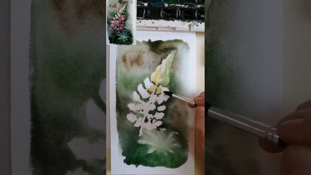 цветы люпины акварелью, композиция, как написать акварелью люпин смотреть онлайн