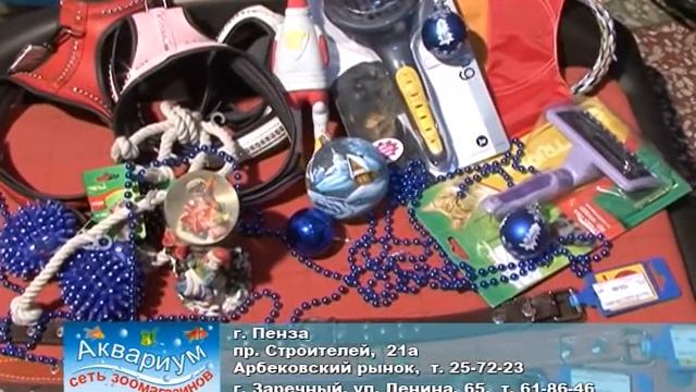 Аквариум сеть магазинов AkvariumPer17