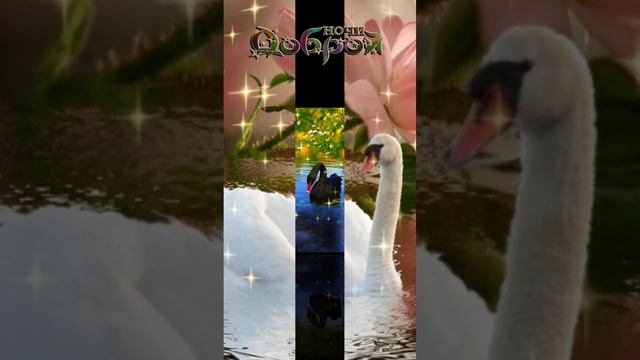 Добрый вечер! 🏙🧚♂️💕🌷💕🧚♂️ смотреть онлайн