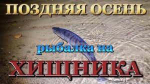 ЛОВЛЯ СУДАКА на БУТЫЛКИ. СУДАК на живца. ЛЕТНИЕ ЖЕРЛИЦЫ.