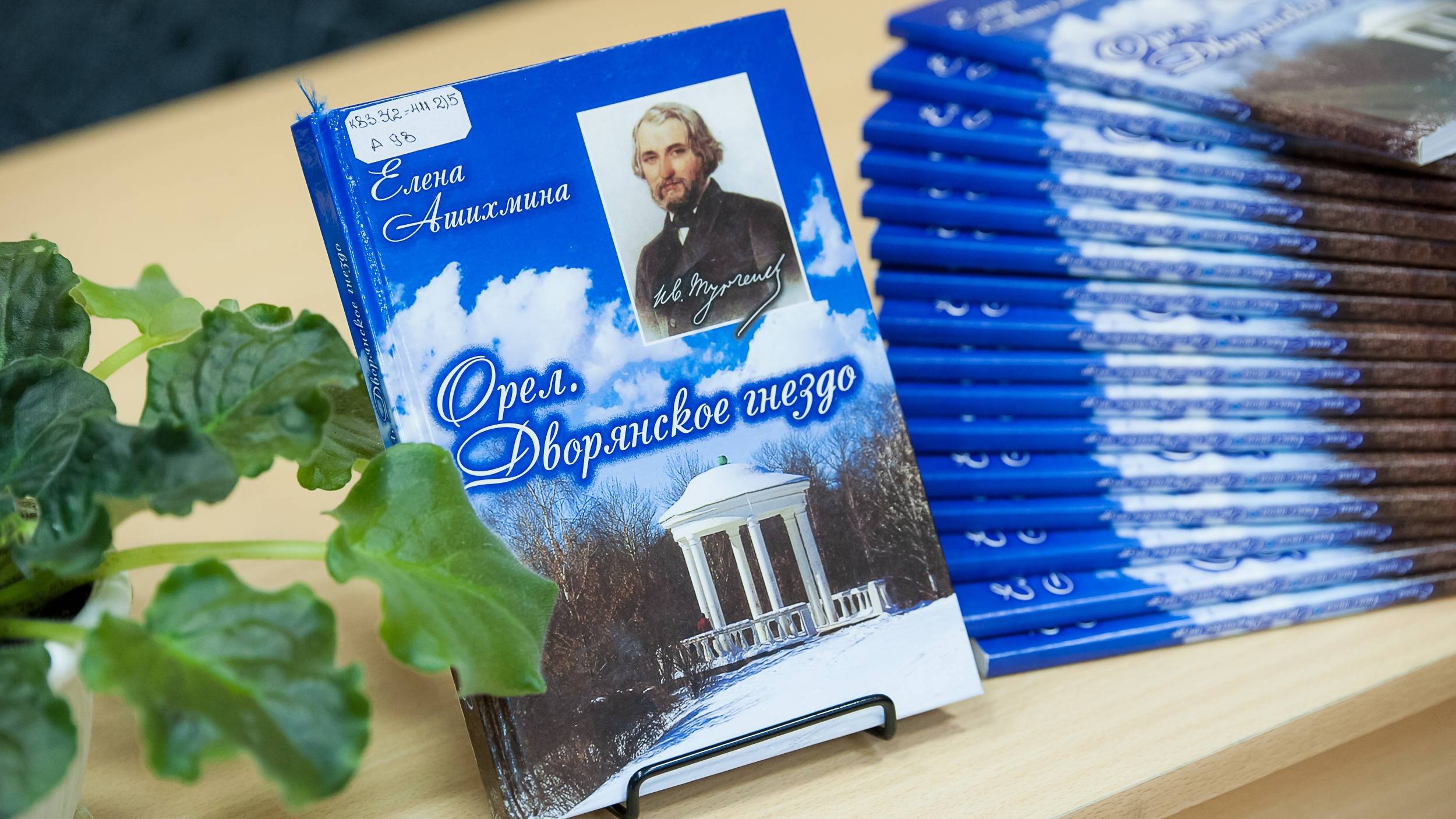 Орёл. Дворянское гнездо (Е. Ашихмина) смотреть онлайн