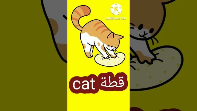# قطة بالانجليزي # Cat
