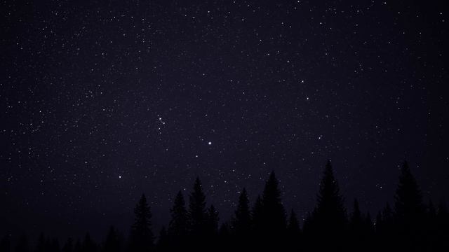 звезды на Усьве