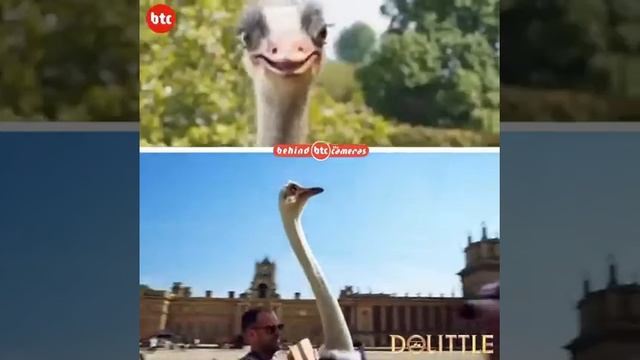 The Dolitle |  Behind The Scenes | VFX Special Effect