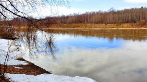 Божественное оздоровление системы пищеварения Для женщин