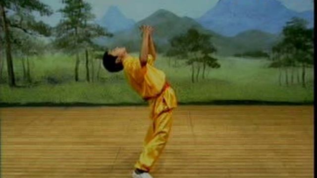 Шаолинь Дзуйцюань - Шаолиньский Пьяный кулак смотреть онлайн