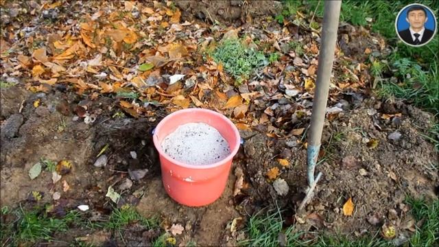 ФОСФОР И ФОСФОРНЫЕ УДОБРЕНИЯ смотреть онлайн