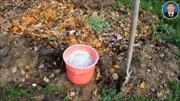 ФОСФОР И ФОСФОРНЫЕ УДОБРЕНИЯ