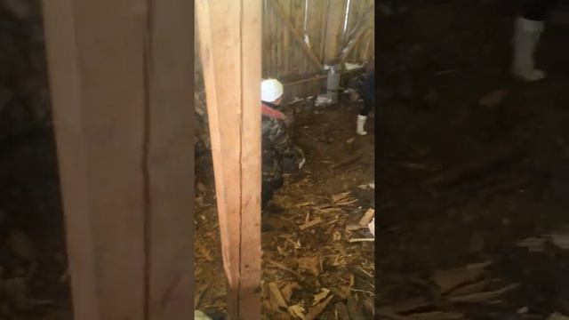 Погрузка дров вот как надо грузить Дрова 😀 смотреть онлайн