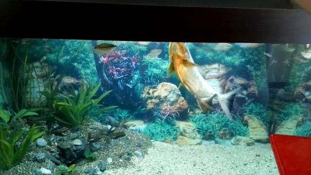 Вид 3 смотреть онлайн
