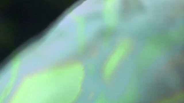 Удар нагваля © Карлос Кастанеда смотреть онлайн