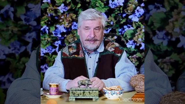 С. Савельев - Алгоритмы и полезные вещества