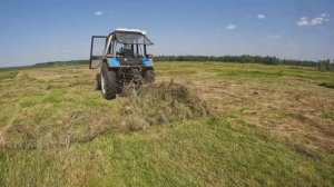 Настоящий сенокос без прикрас