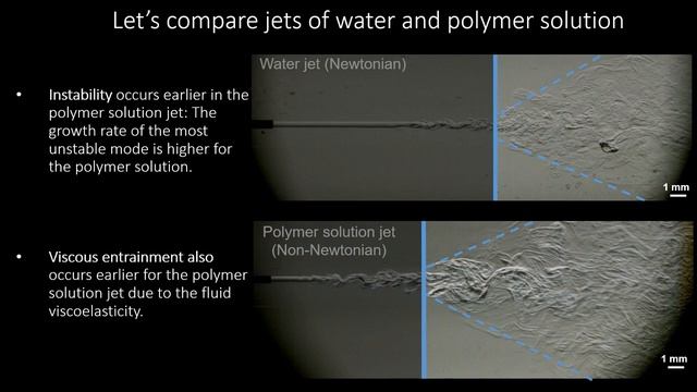 Stability of Turbulent Bio-polymer Jets смотреть онлайн