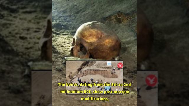 Ancient human 'skull cup' found in Spanish cave by Archaeologists смотреть онлайн