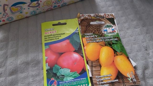 ВЫБОР СЕМЯН ТОМАТОВ НА СЕЗОН 2025 смотреть онлайн