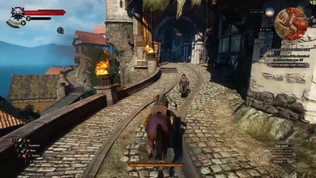 THE WITCHER 3 | SCAVENGER HUNT: CAT GEAR | LVL 13 | ULTRA GTX 1060 + 6700K 1080P смотреть онлайн