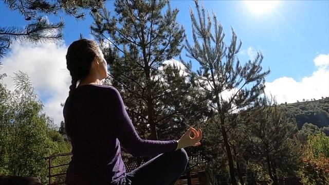 Animal Spirit Guided Meditation Birds of Prey | Shamanic Meditation Series смотреть онлайн