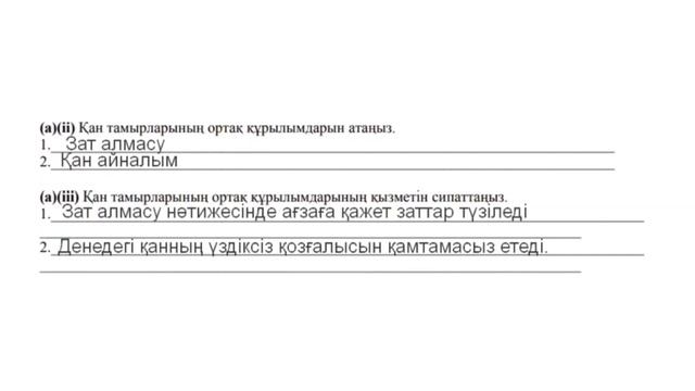 Биология 8 сынып Бжб-1 2 тоқсан смотреть онлайн
