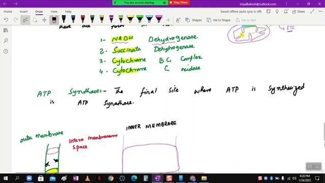 What does the electron transport chain do? And What are the 4 steps of the electron transport chain смотреть онлайн