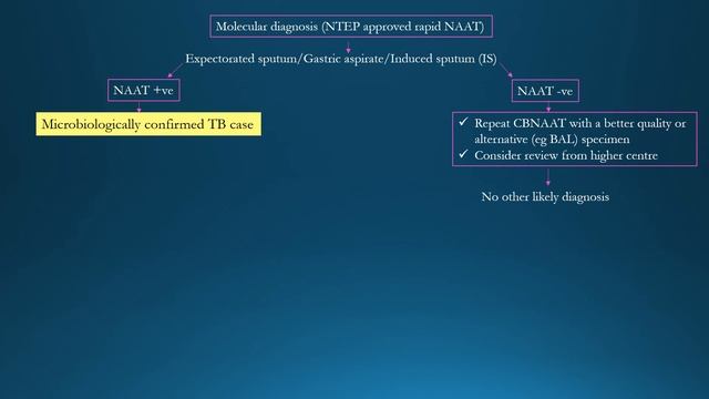 TB Updates - NTEP 2020 + WHO 2021 смотреть онлайн