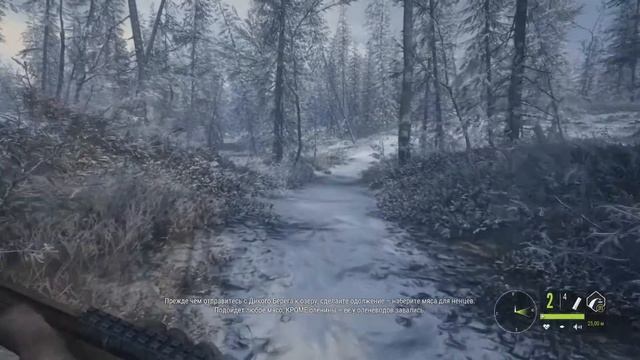 TheHunter: Call of the Wild Сюжет.Локация "Медвежья тайга"! 9 смотреть онлайн