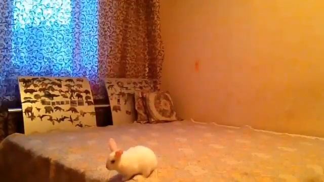 Sweat Fan video.. смотреть онлайн