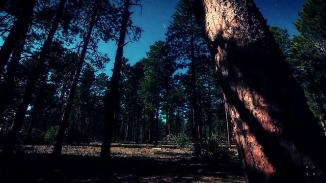 музыка в машину # треки в описание смотреть онлайн