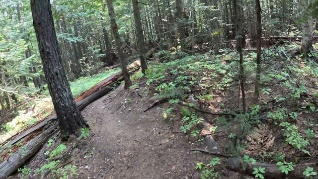 Hedonism ⚠️language⚠️ смотреть онлайн