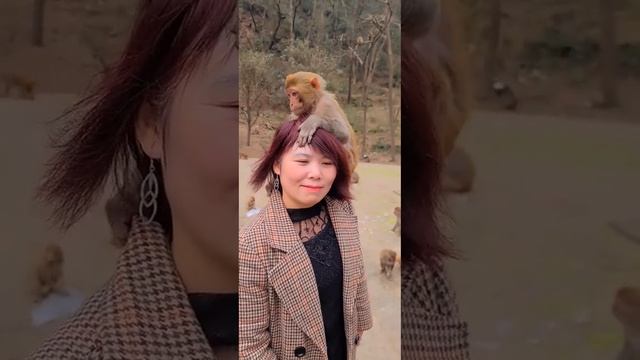 Lovely Friendly Animals A Baby