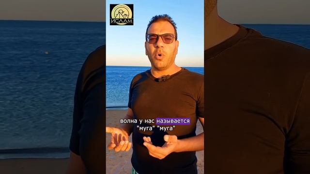 отпуск в Египте смотреть онлайн