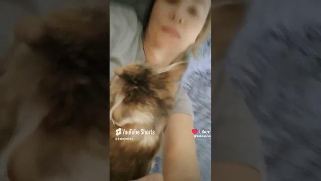 Счастье в простом 💗 #котики #милота #домашниеживотные смотреть онлайн